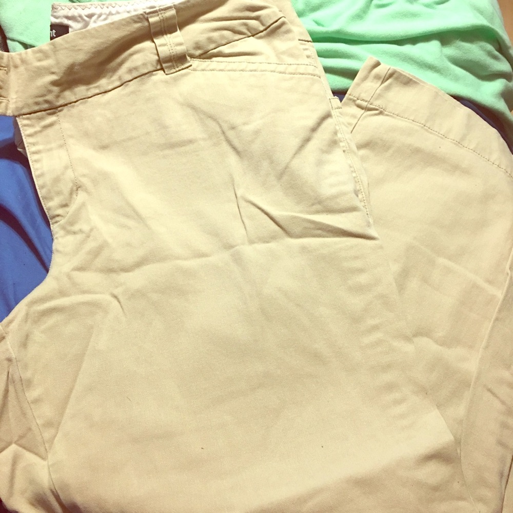 Lane Bryant khakis